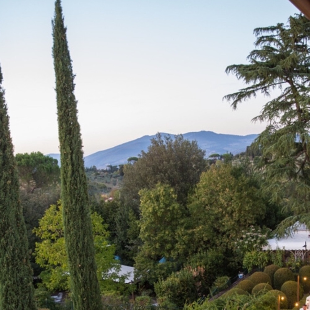 Meet your Posher, Rose